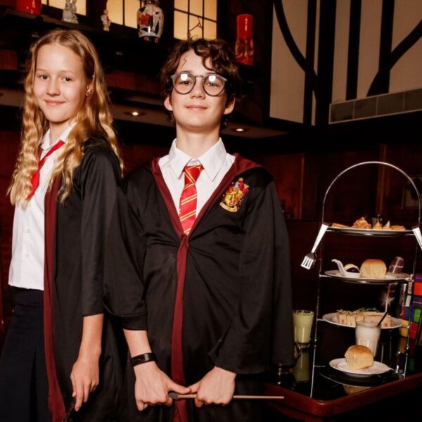 Harry's Birthday Bash - Online E-Tickets (City Hall - Saturday 2nd August) - Image 2